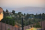 קניות או שופינג
